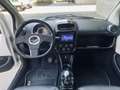 Bellier B8 Sport - thumbnail 5