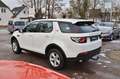 Land Rover Discovery Sport Diesel TD4 SE Blanc - thumbnail 6