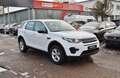 Land Rover Discovery Sport Diesel TD4 SE Bianco - thumbnail 3