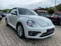 Volkswagen Beetle 1,2 TSI Design BMT Cabriolet*1-HD*SHZ*Klima*Temp* White - thumbnail 3