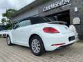 Volkswagen Beetle 1,2 TSI Design BMT Cabriolet*1-HD*SHZ*Klima*Temp* Weiß - thumbnail 6