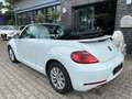 Volkswagen Beetle 1,2 TSI Design BMT Cabriolet*1-HD*SHZ*Klima*Temp* Weiß - thumbnail 7