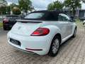 Volkswagen Beetle 1,2 TSI Design BMT Cabriolet*1-HD*SHZ*Klima*Temp* Weiß - thumbnail 4