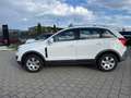 Opel Antara Selection Blanc - thumbnail 8