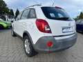 Opel Antara Selection Blanc - thumbnail 7