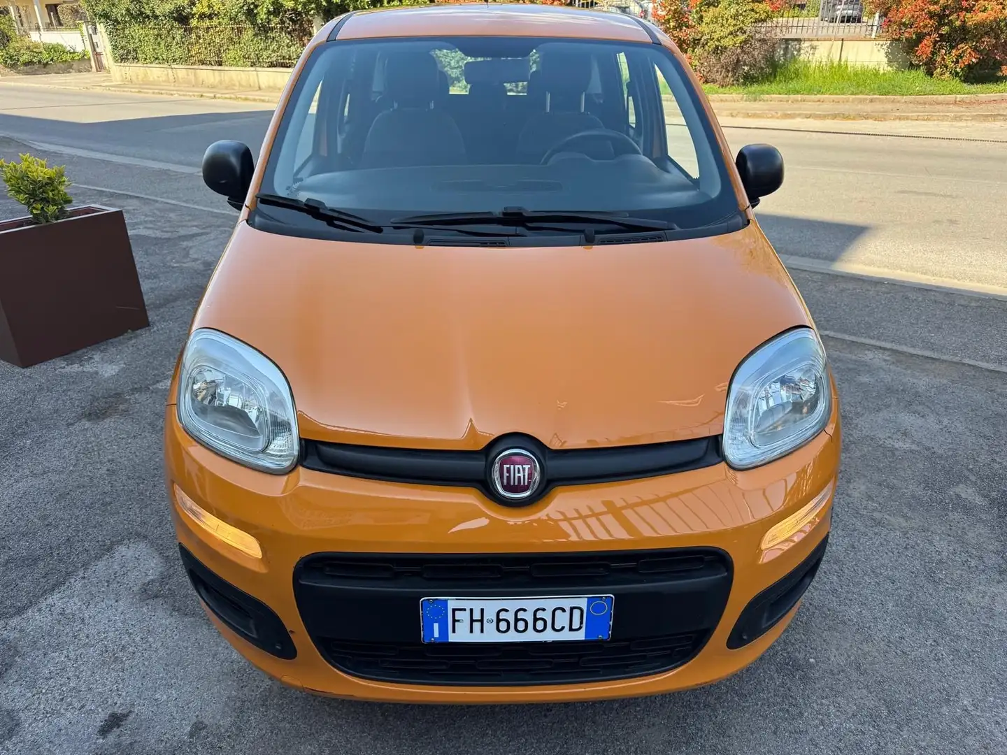 Fiat Panda Arancione - 2