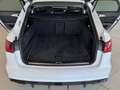 Audi A6 3.0 TDI Quattro Competition|MATRIX|AHK|PANO| Bianco - thumbnail 9
