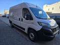 Fiat Ducato 35 L2 H2 2.3 1 (103 kW) Euro 6d-temp Blanc - thumbnail 1