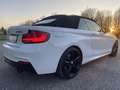 BMW 230 230i Cabrio Msport auto my18 - thumbnail 6