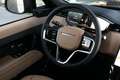Land Rover Range Rover Sport D250 SE AWD Auto. 25MY Gris - thumbnail 19