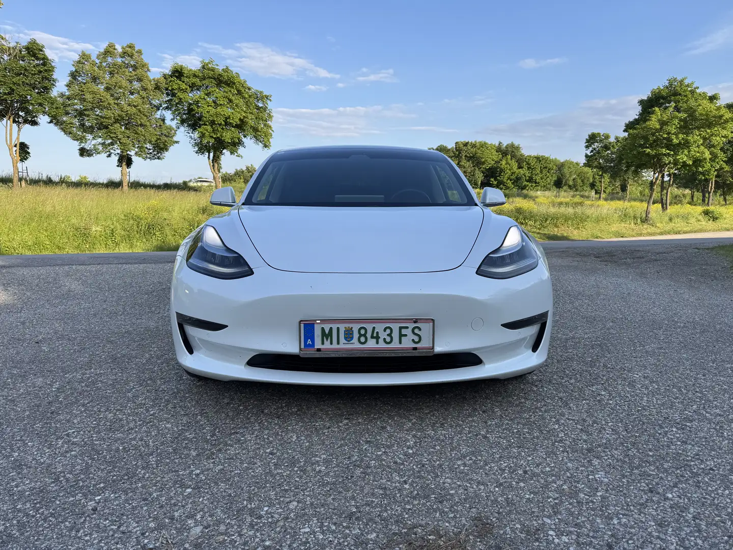 Tesla Model 3 Long Range Performance AWD - 2