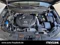 Mazda CX-5 SKYACTIV-D 184 AWD SPORTSLINE,Leder,Automatik,Tech Blau - thumbnail 8