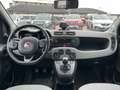 Fiat Panda 1.2 Lounge 69CV - IDEALE PER NEOPATENTATI Gris - thumbnail 9