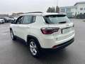 Jeep Compass 1.6 Multijet II 2WD Limited Bianco - thumbnail 14
