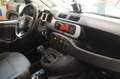 Fiat Panda Cross 0.9 TwinAir Turbo S&S 4x4 Weiß - thumbnail 7