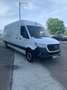 Mercedes-Benz Sprinter Furgón 315CDI Largo T.E. tT Wit - thumbnail 9
