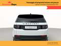 Land Rover Discovery Sport 2.0d i4 R-Dynamic S awd 150 CV Auto Wit - thumbnail 6