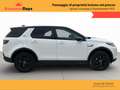 Land Rover Discovery Sport 2.0d i4 R-Dynamic S awd 150 CV Auto Wit - thumbnail 3