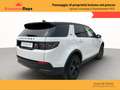 Land Rover Discovery Sport 2.0d i4 R-Dynamic S awd 150 CV Auto Wit - thumbnail 5