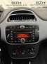 Fiat Punto Evo 1.2 8V 65CH TEAM 5P - thumbnail 11