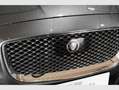 Jaguar XJ 3.0D LWB Premium Luxury Aut. Gris - thumbnail 5