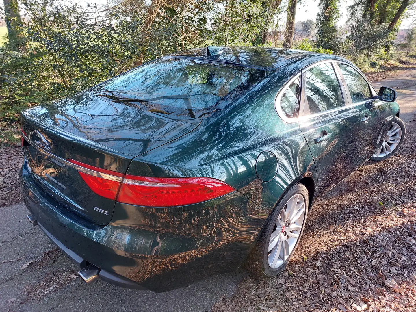 Jaguar XF 3.0 supercharge pano leer cruise led nav Groen - 1