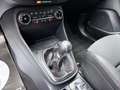 Ford Fiesta Fiesta 5p 1.5 ecoboost ST 200cv GARANZ FORD 2029 Gris - thumbnail 15