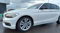 BMW 116 116d+Advantage+5p Bianco - thumbnail 8