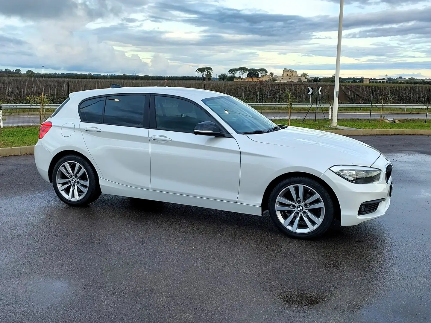 BMW 116 116d+Advantage+5p Bianco - 2