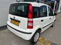 Fiat Panda 1.2 AIRCO  120.057 KM NAP PAS Blanc - thumbnail 5