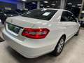 Mercedes-Benz E 220 Classe E - W212 Berlina cdi be Executive Bianco - thumbnail 13