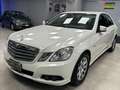 Mercedes-Benz E 220 Classe E - W212 Berlina cdi be Executive Bianco - thumbnail 3