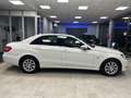 Mercedes-Benz E 220 Classe E - W212 Berlina cdi be Executive Bianco - thumbnail 2