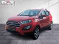 Ford EcoSport 1.0 EcoBoost Sitzheizung Klima Tempomat Rosso - thumbnail 1