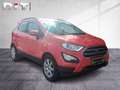 Ford EcoSport 1.0 EcoBoost Sitzheizung Klima Tempomat Rosso - thumbnail 6