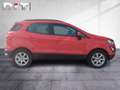 Ford EcoSport 1.0 EcoBoost Sitzheizung Klima Tempomat Rosso - thumbnail 5