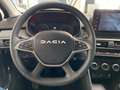 Dacia Sandero Stepway Extreme ECO-G 100 Navi PDC Sitzh Grau - thumbnail 19