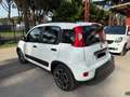 Fiat Panda 1.0 firefly hybrid City Cross PROMO Bianco - thumbnail 7