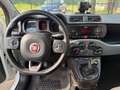 Fiat Panda 1.0 firefly hybrid City Cross PROMO Bianco - thumbnail 12