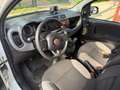 Fiat Panda 1.0 firefly hybrid City Cross PROMO Bianco - thumbnail 11