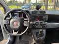 Fiat Panda 1.0 firefly hybrid City Cross PROMO Bianco - thumbnail 13