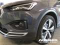 SEAT Tarraco Xcellence 1.5 TSI ACT AHK bis 2,0to Grau - thumbnail 6