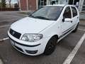 Fiat Punto Punto 5p 1.3 mjt 16v Active Blanc - thumbnail 1