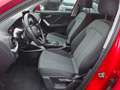 Audi Q2 1,0 TFSI Design Rouge - thumbnail 8