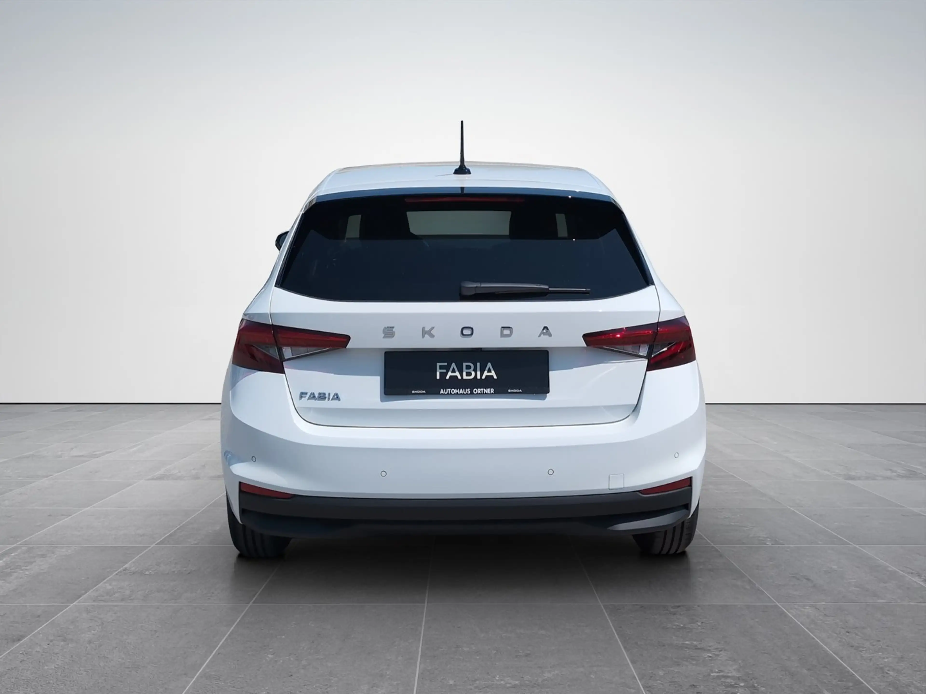 Skoda Fabia Selection TSI — photo 5
