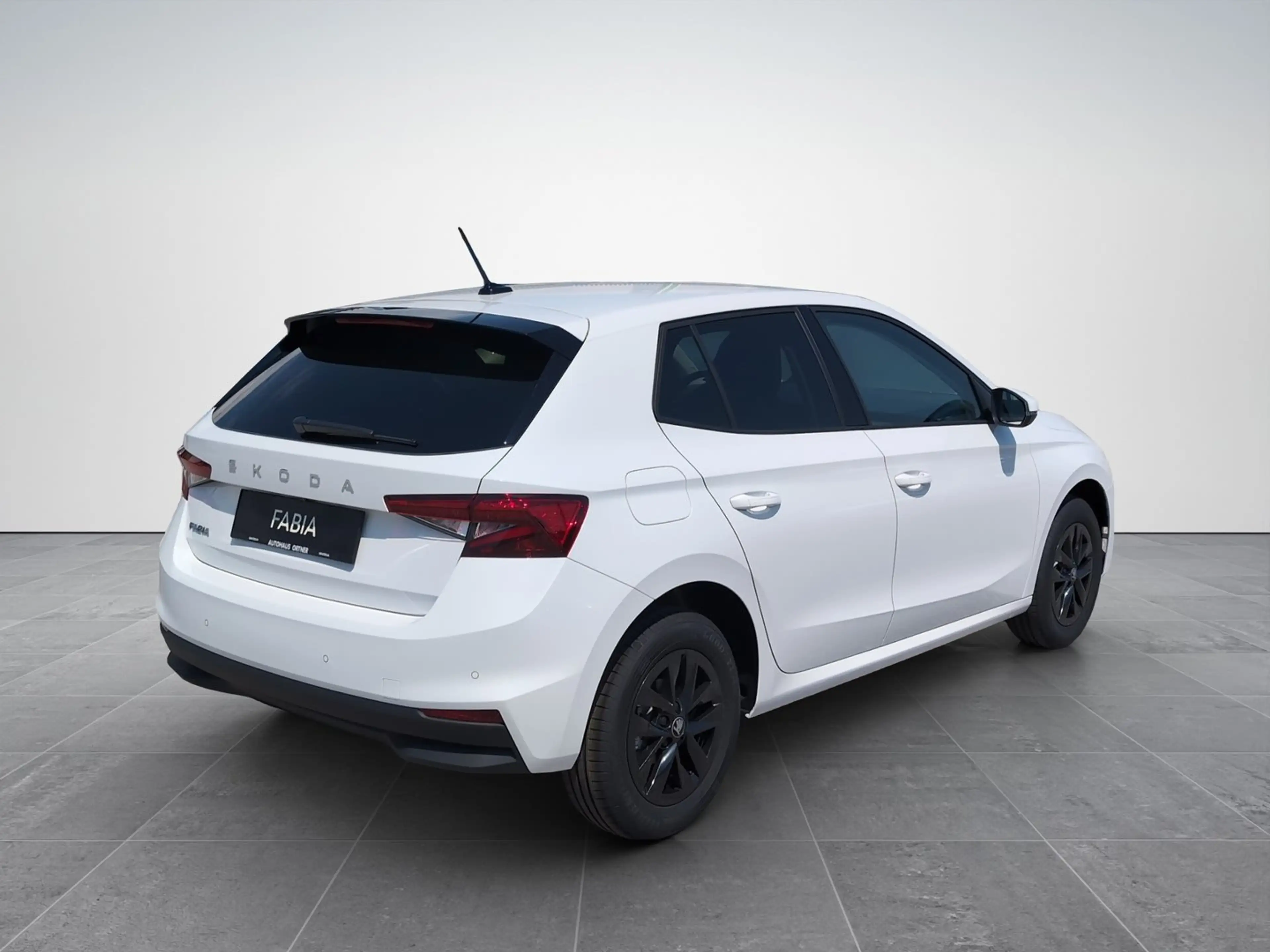 Skoda Fabia Selection TSI — photo 6