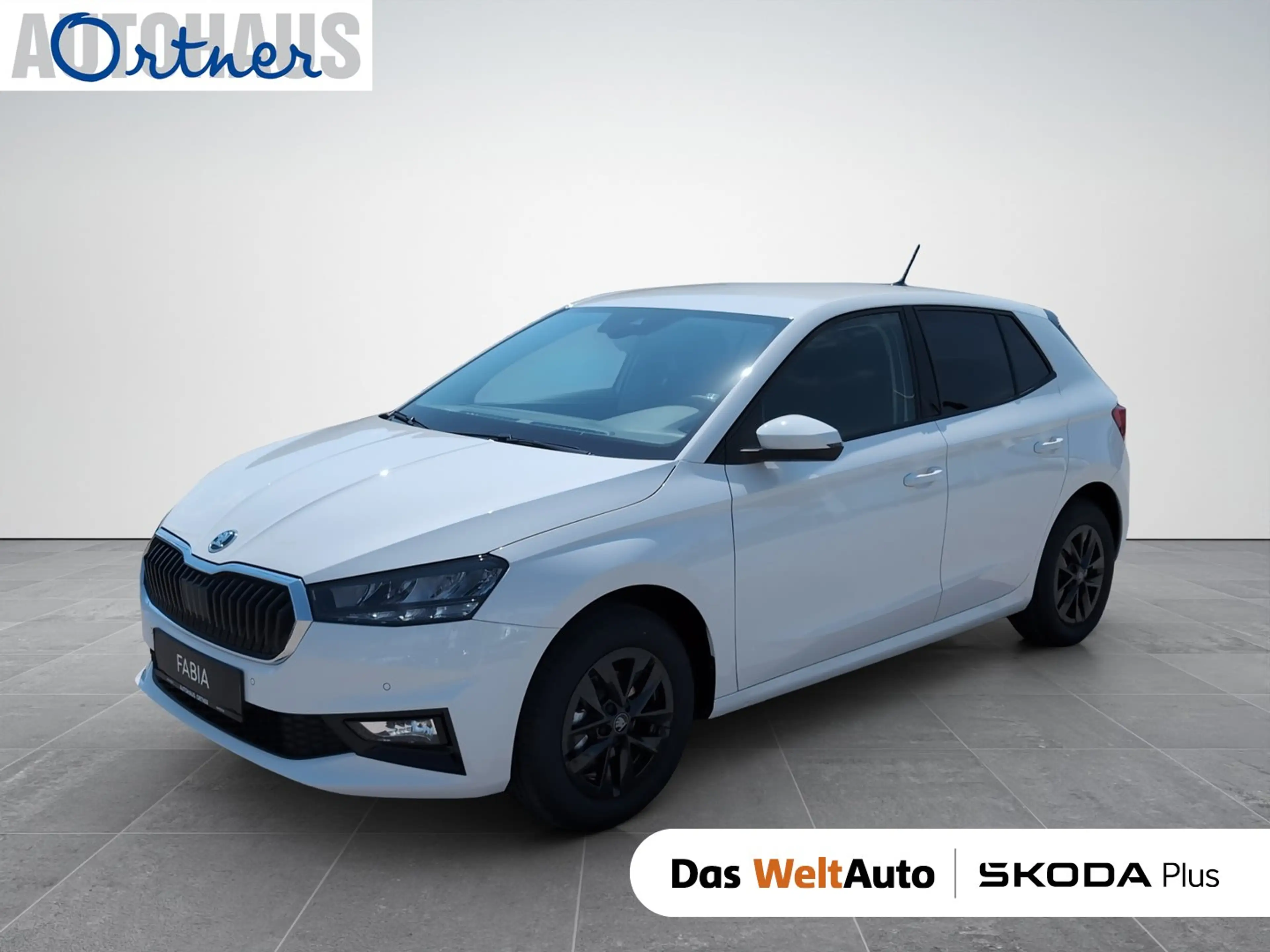 Skoda Fabia Selection TSI
