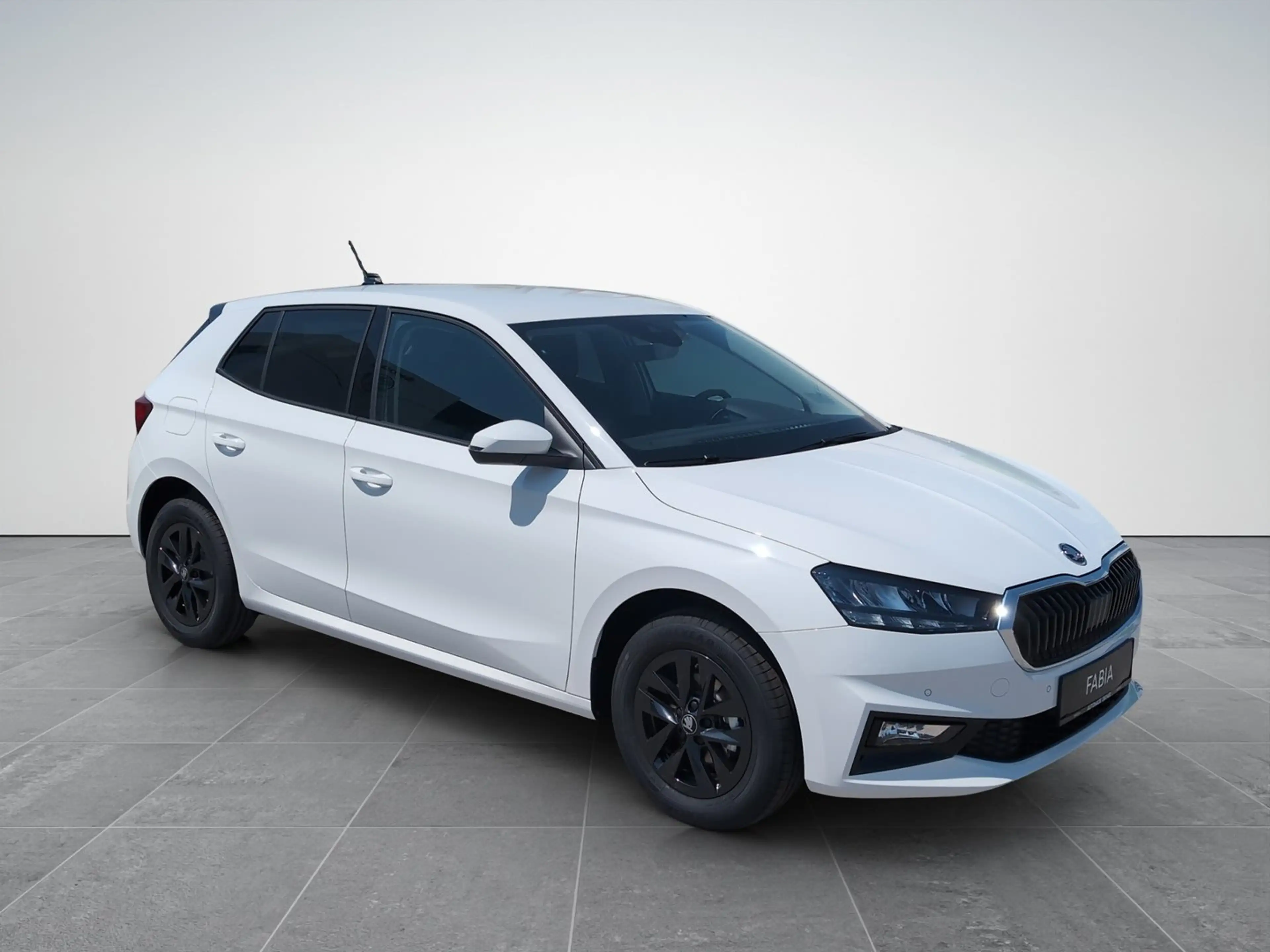 Skoda Fabia Selection TSI — photo 8