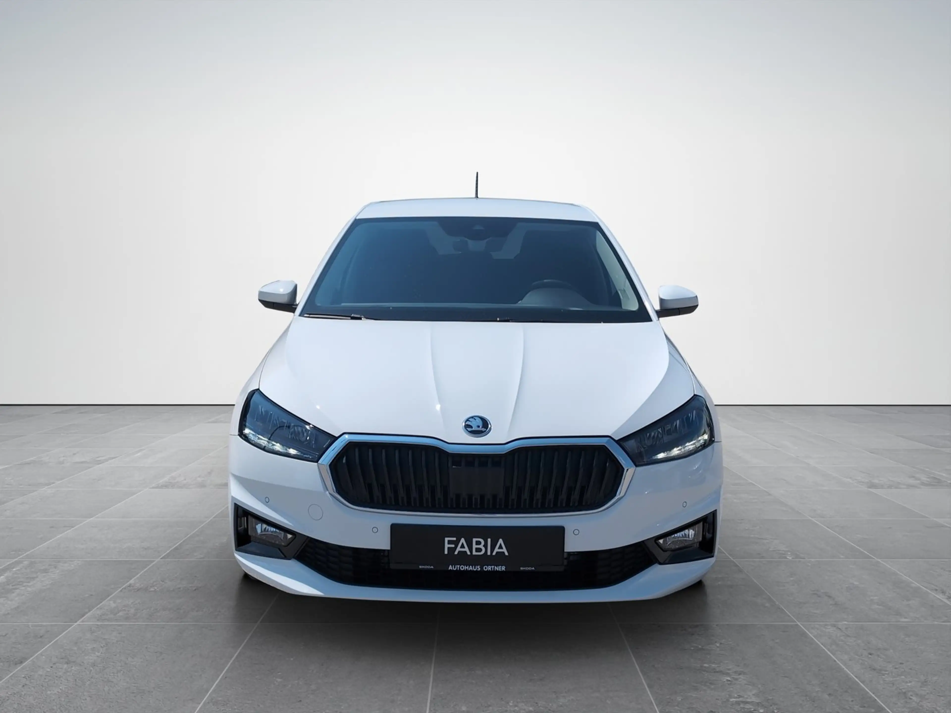 Skoda Fabia Selection TSI — photo 2