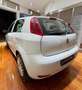 Fiat Punto 1.3 MJT II 75 CV 5 porte Street Wit - thumbnail 4